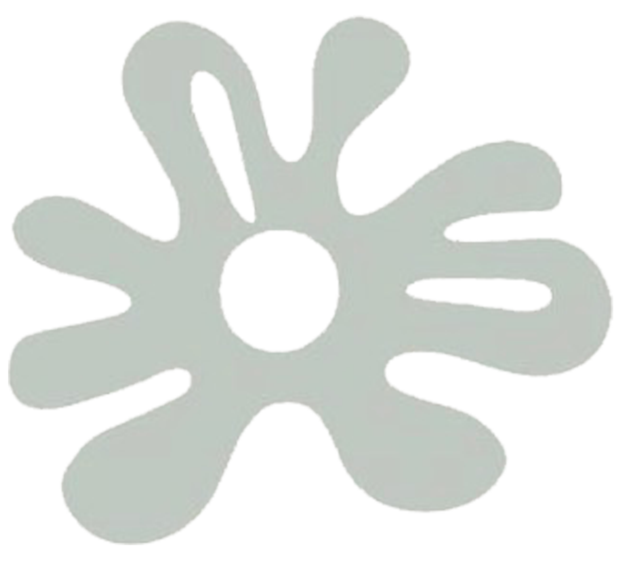 WordPress Website